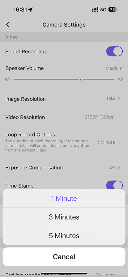 Loop video options
